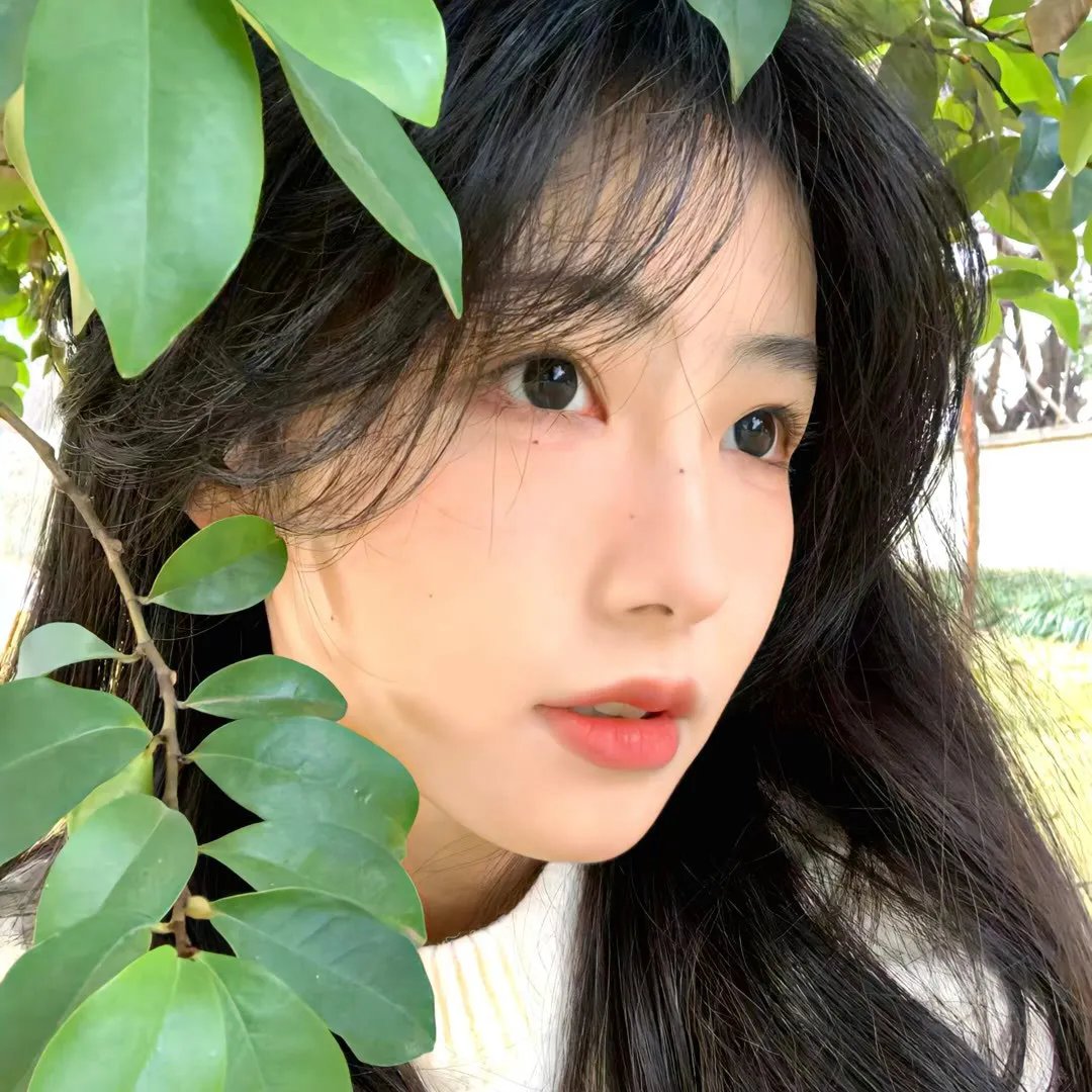 枪响前决定爱不爱你